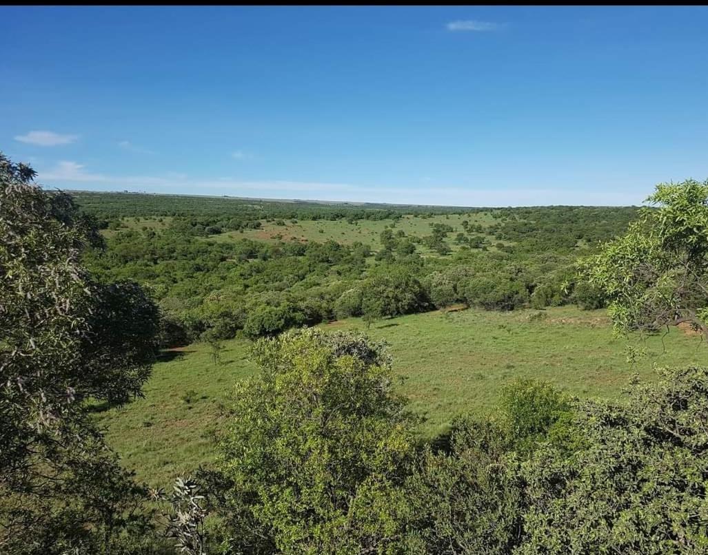 Kareekloof Game Farm Villa Derby Buitenkant foto